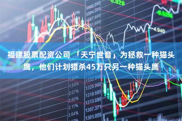 福建股票配资公司 「天宁世音」为拯救一种猫头鹰，他们计划猎杀45万只另一种猫头鹰