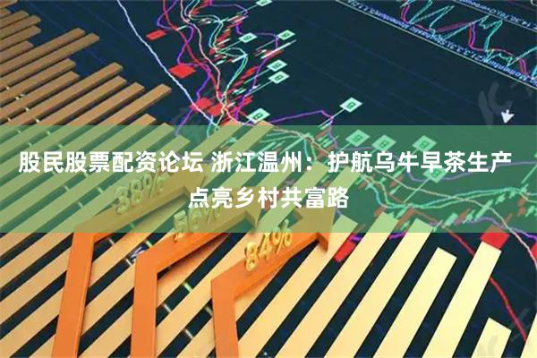股民股票配资论坛 浙江温州：护航乌牛早茶生产 点亮乡村共富路