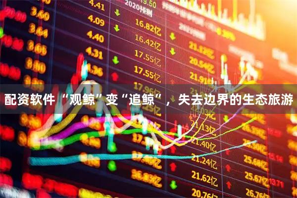 配资软件 “观鲸”变“追鲸”，失去边界的生态旅游