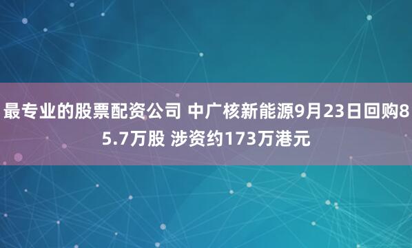 最专业的股票配资公司 中广核新能源9月23日回购85.7万股 涉资约173万港元